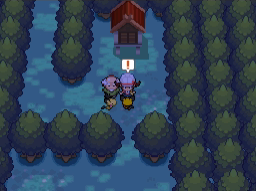 Pokemon Crystal Part Adventures In Ilex Forest